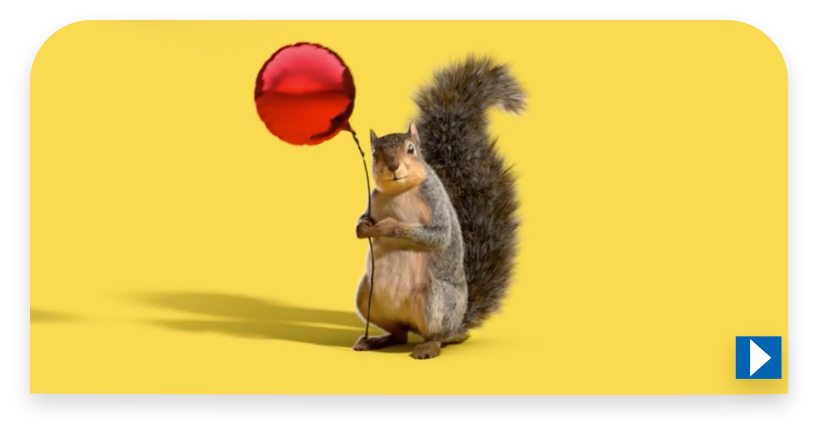 Squirrel with Red balloon